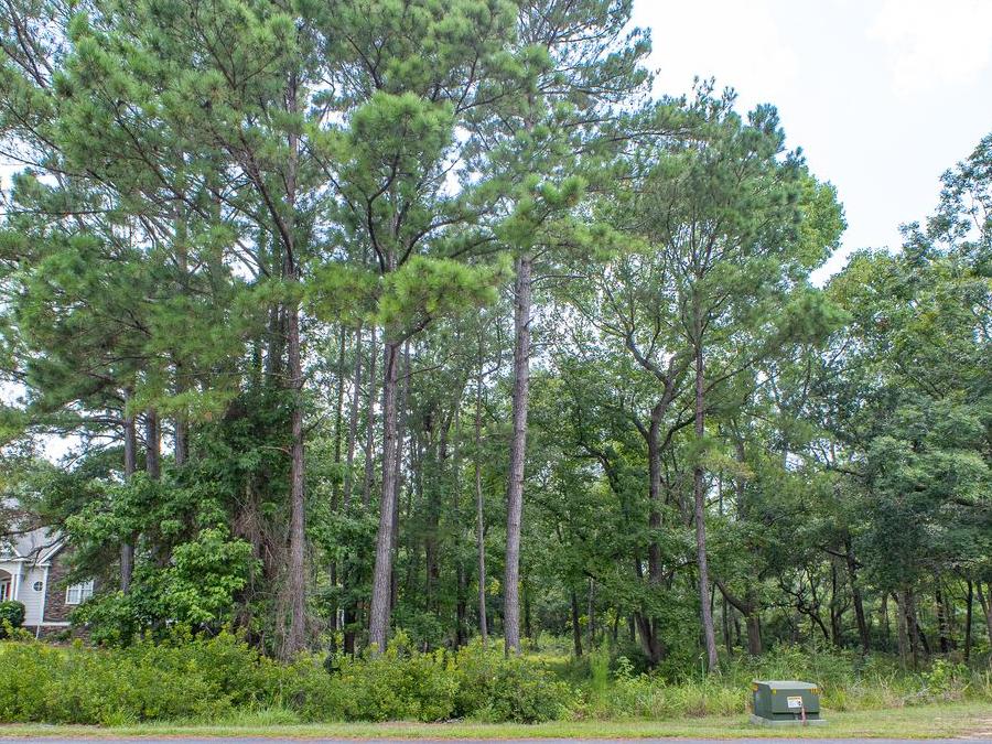 3324 Regal Isle (Lot available for custom build)